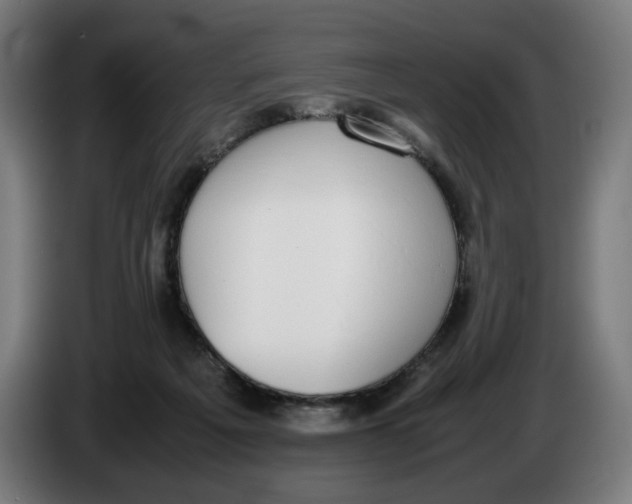 X0000086240217200704191828