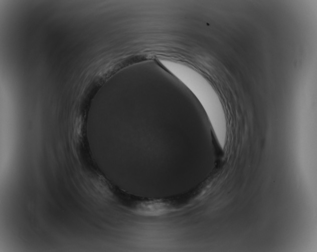 X0000086240219200704191828