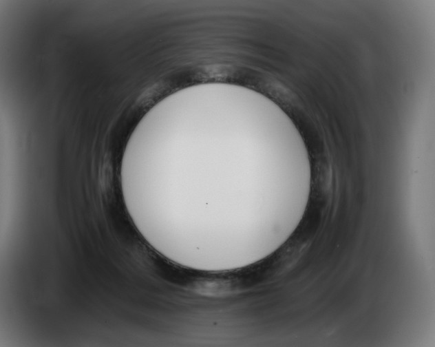 X0000086240220200704191828
