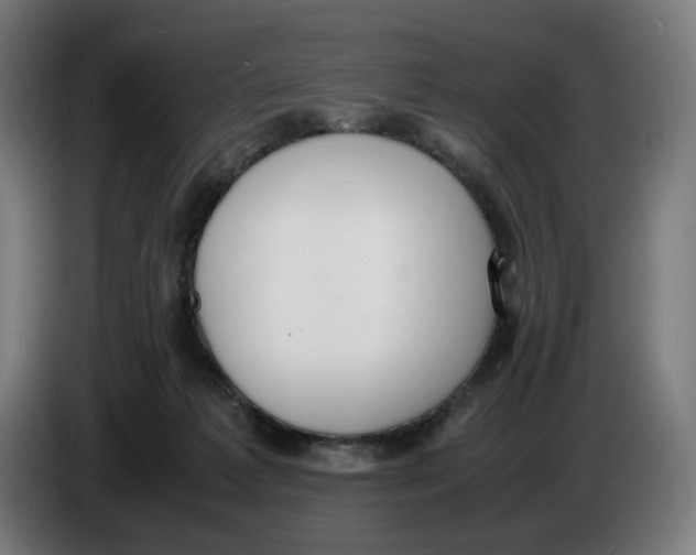 X0000086240221200704191828