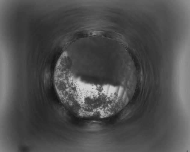 X0000086240222200704191828