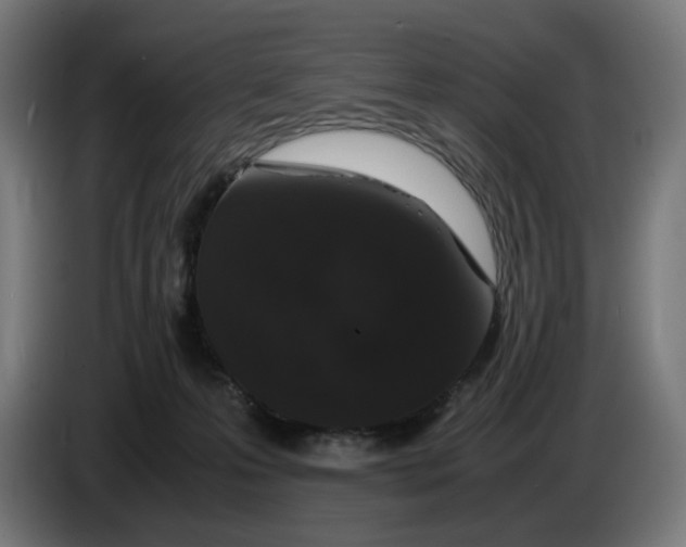 X0000086240223200704191828