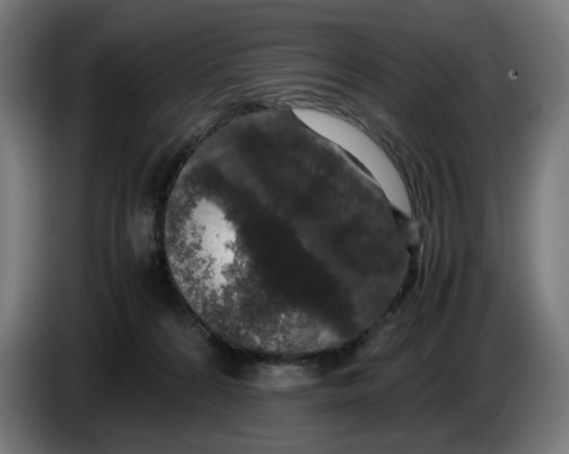X0000086240224200704191828