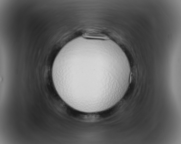 X0000086240225200704191828