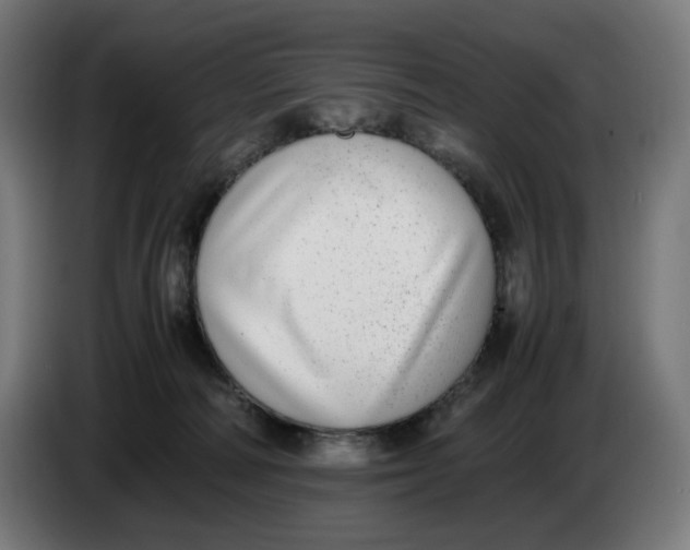X0000086240226200704191828
