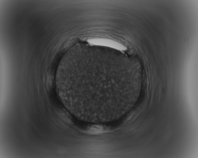 X0000086240227200704191828