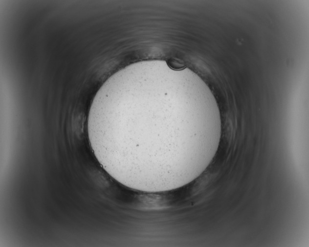 X0000086240230200704191828
