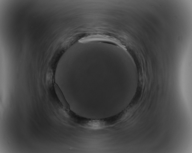 X0000086240231200704191827
