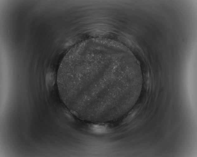 X0000086240232200704191827