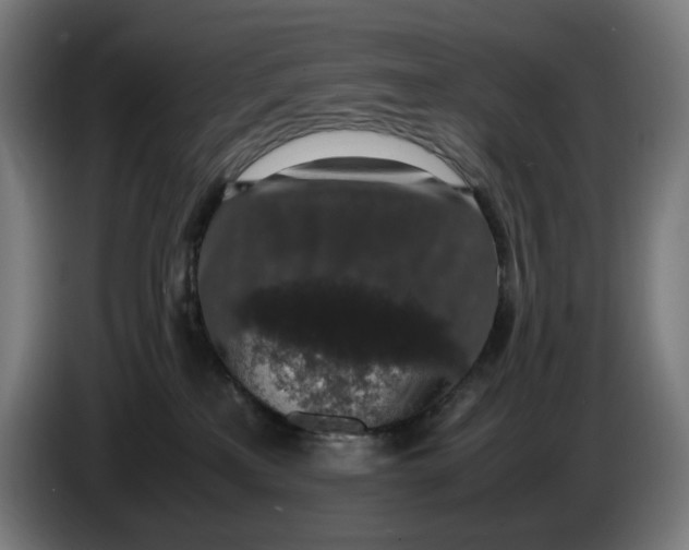 X0000086240233200704191827