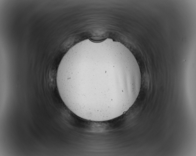 X0000086240234200704191827