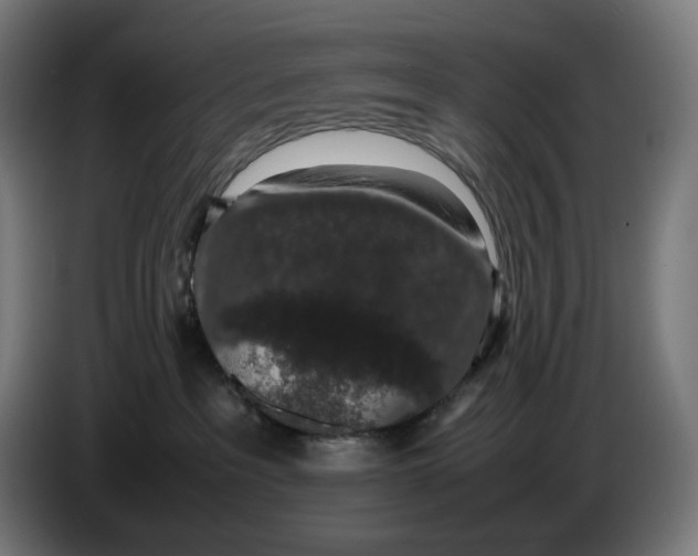 X0000086240237200704191827