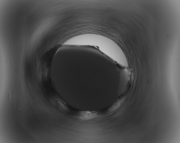 X0000086240239200704191827