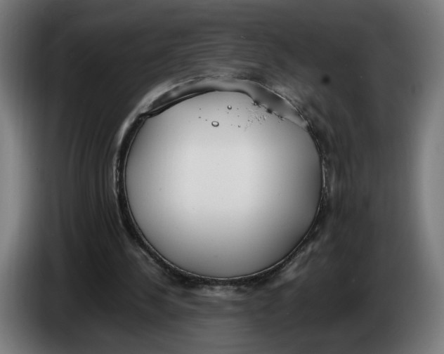 X0000086240244200704191827