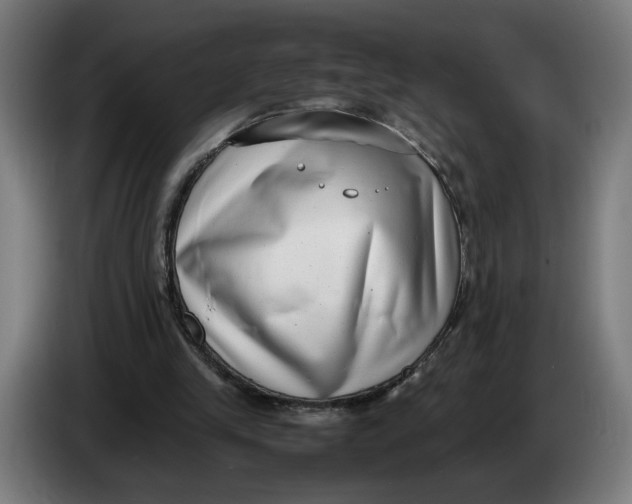 X0000086240245200704191827