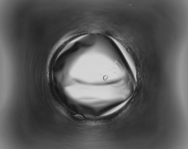 X0000086240246200704191827