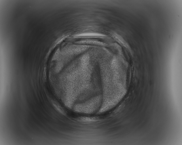 X0000086240250200704191827