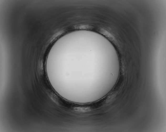 X0000086240251200704191827
