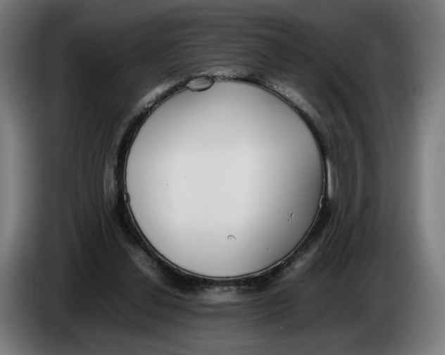 X0000086240252200704191827