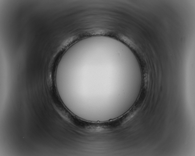 X0000086240254200704191827