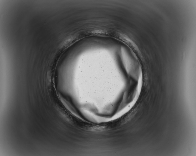 X0000086240257200704191827