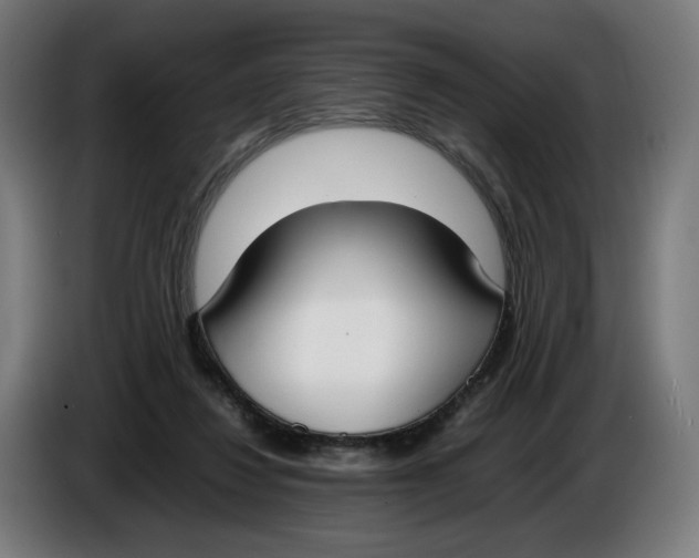 X0000086240260200704191827