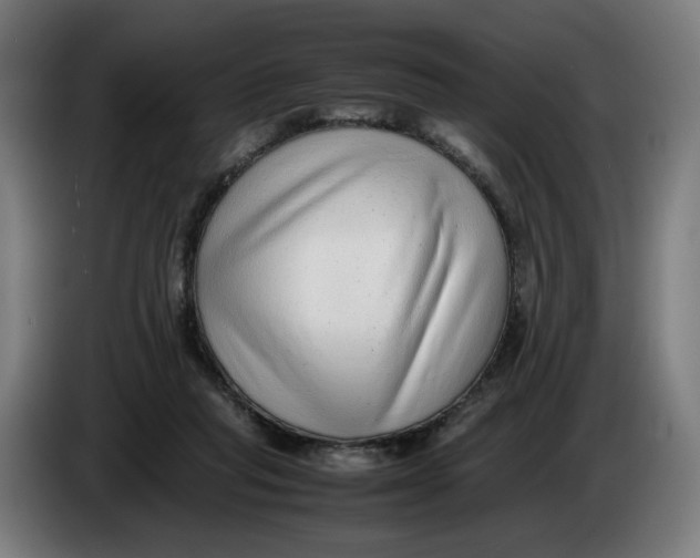 X0000086240261200704191827