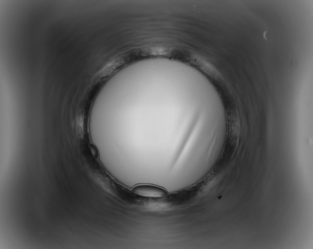 X0000086240262200704191827