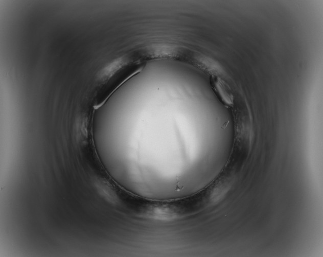 X0000086240264200704191827
