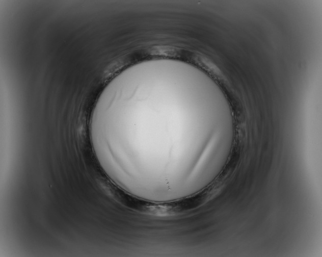 X0000086240265200704191827