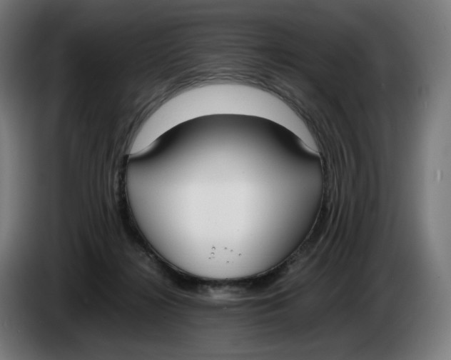 X0000086240268200704191827