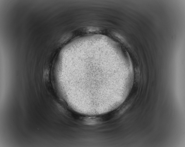 X0000086240269200704191827