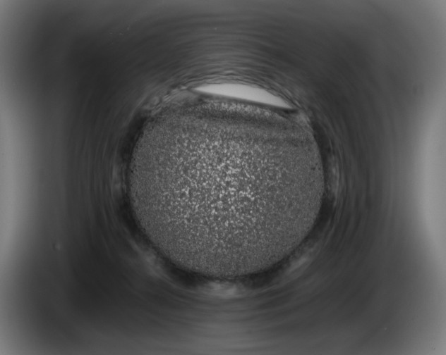 X0000086240272200704191827