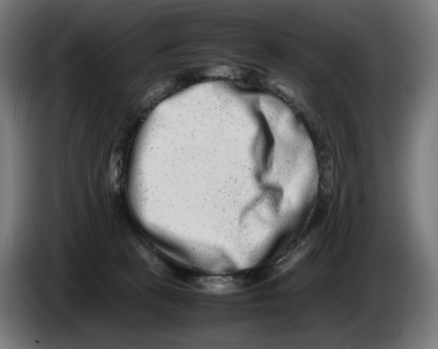 X0000086240273200704191827