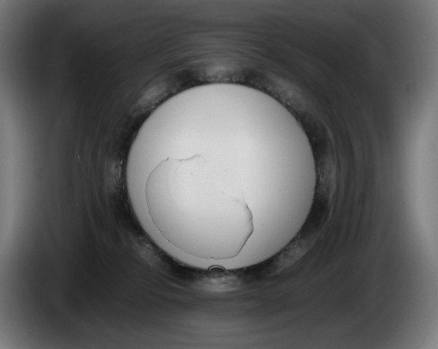 X0000086240278200704191827