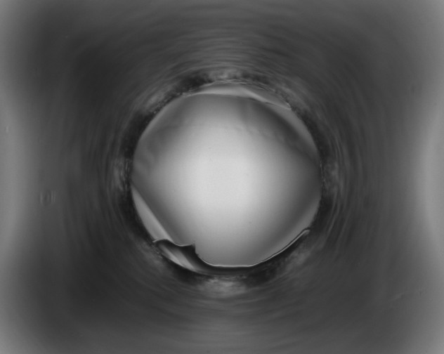 X0000086240280200704191827
