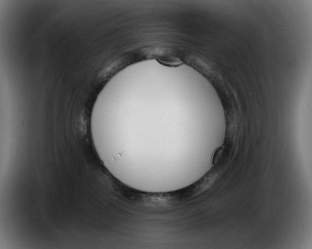 X0000086240282200704191827