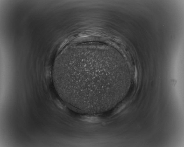 X0000086240284200704191827