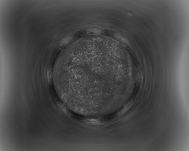 X0000086240285200704191827