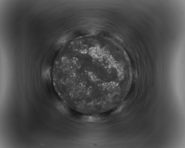 X0000086240286200704191827