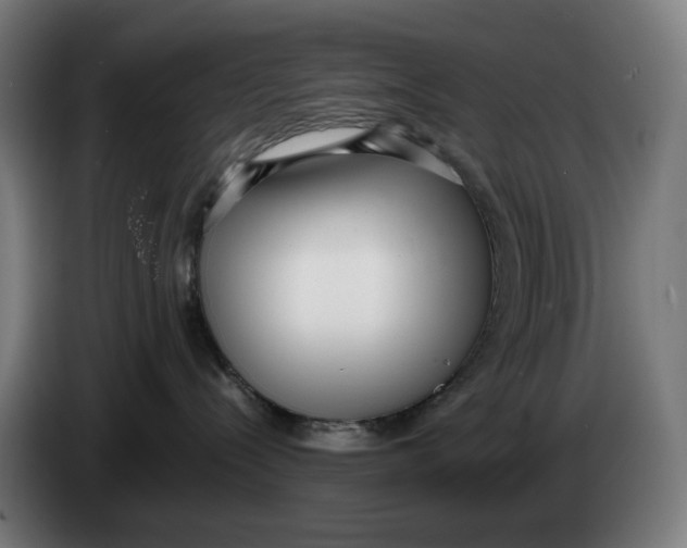 X0000086240288200704191827