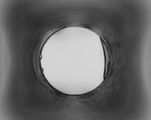 X0000086240289200704191827