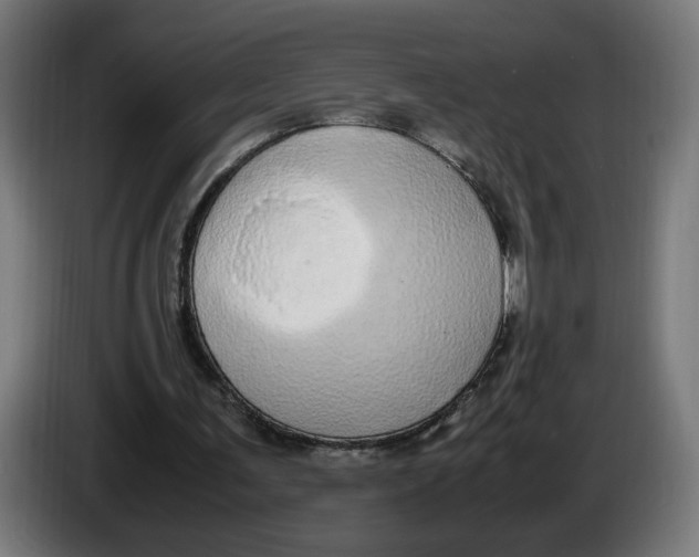 X0000086240291200704191827