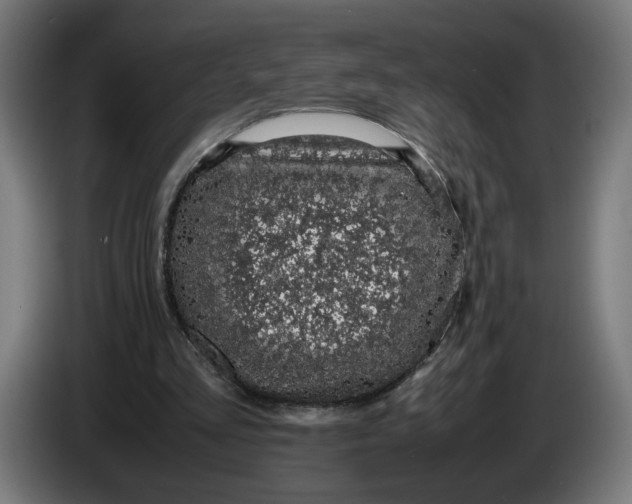 X0000086240293200704191827
