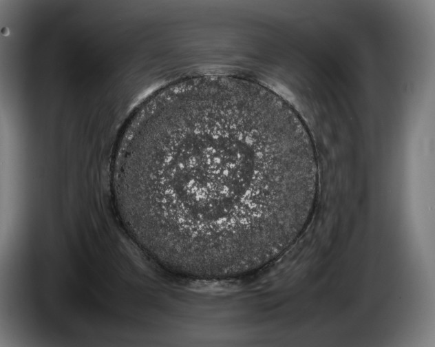 X0000086240297200704191827