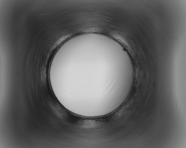 X0000086240298200704191827