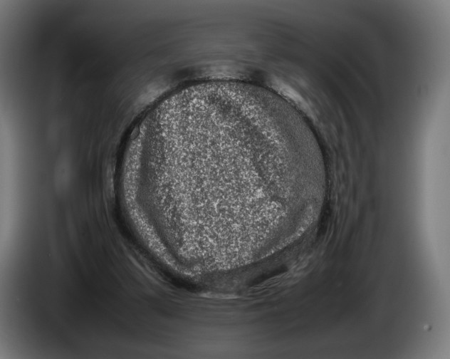 X0000086240299200704191827