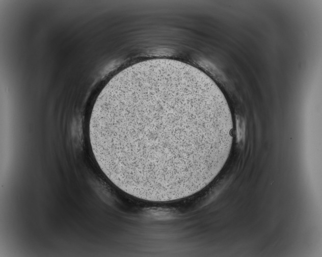 X0000086240300200704191827