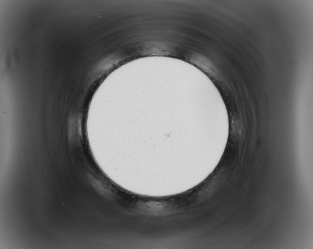 X0000086240302200704191827