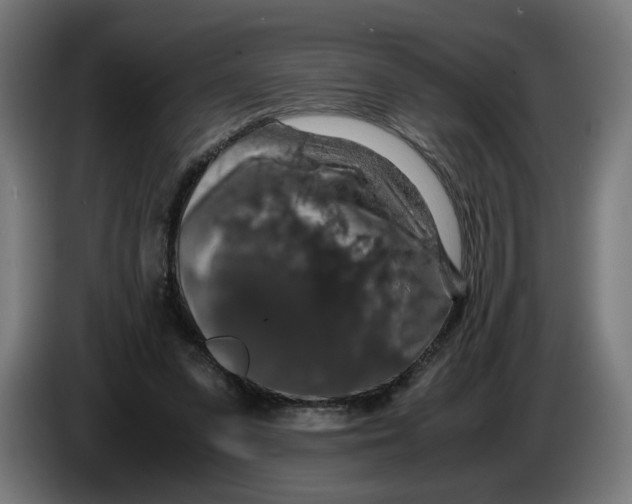 X0000086240303200704191827
